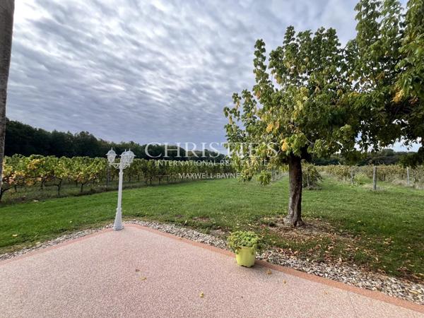 Maison de charme avec piscine au cœur des vignes