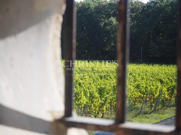 Maison de charme avec piscine au cœur des vignes