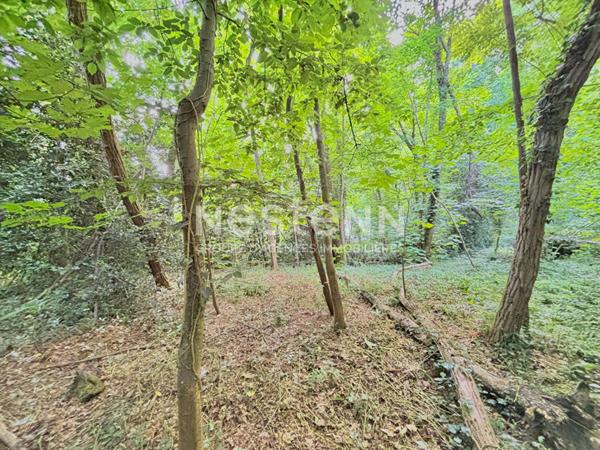 Terrain constructible Vauhallan 7 435 m² - 324 m² à bâtir + bois privé 7 000 m² - environnement naturel - sans vis-à-vis - Plateau de Saclay - Igny - Massy - Paris Sud