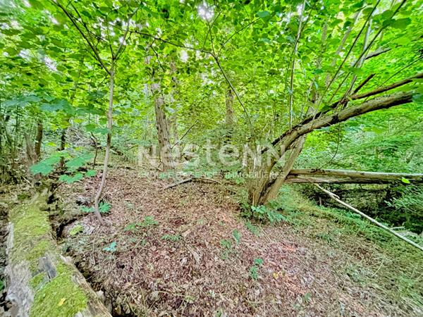 Terrain constructible Vauhallan 7 435 m² - 324 m² à bâtir + bois privé 7 000 m² - environnement naturel - sans vis-à-vis - Plateau de Saclay - Igny - Massy - Paris Sud