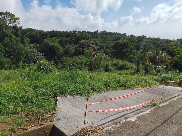 Terrain à vendre SAINT CLAUDE (971) Vue mer et cadre naturel
