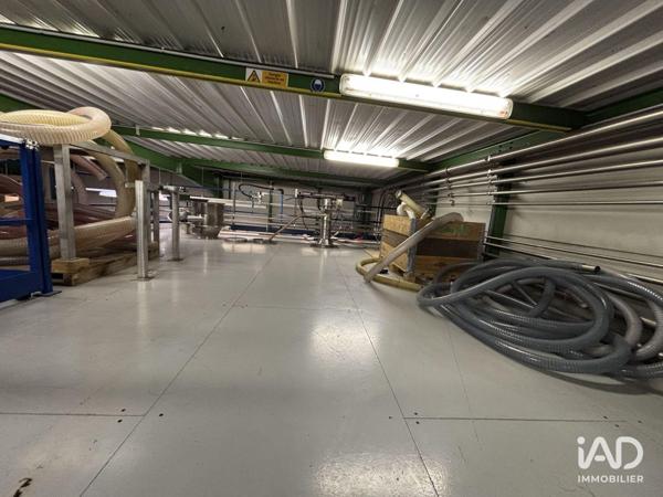 Location murs commerciaux  566 m² Saint-Thibault-des-Vignes