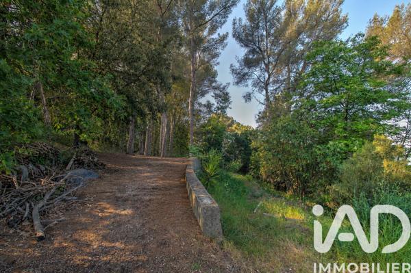 Terrain à vendre 970 m² Saint-Paul-de-Vence