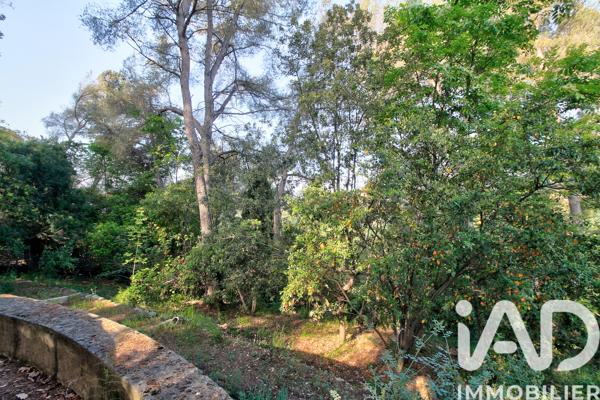 Terrain à vendre 970 m² Saint-Paul-de-Vence