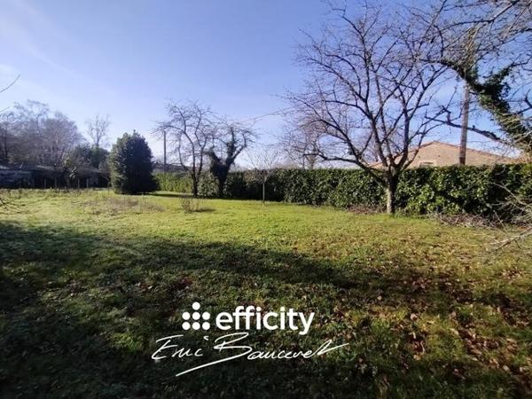 Terrain
        
        - 819 m²