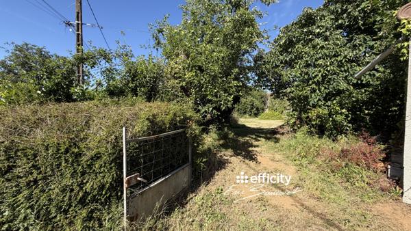 Terrain
        
        - 819 m²