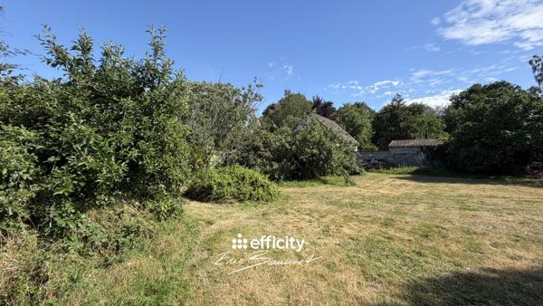 Terrain
        
        - 819 m²