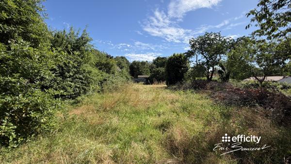 Terrain
        
        - 819 m²