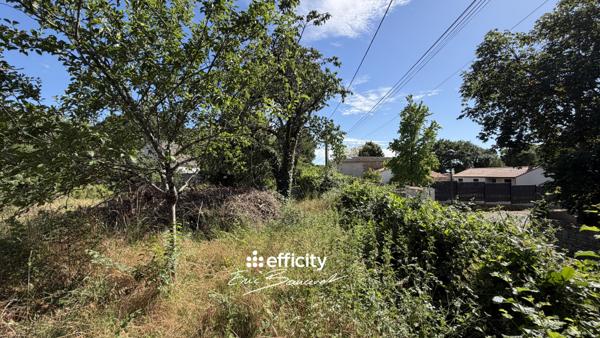 Terrain
        
        - 819 m²