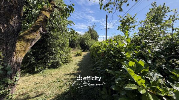 Terrain
        
        - 819 m²