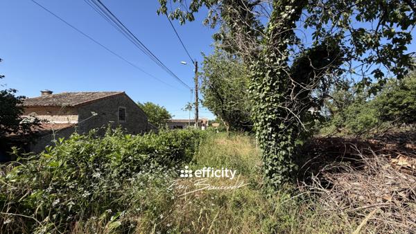 Terrain
        
        - 819 m²