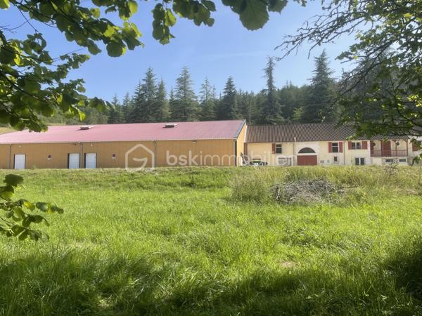 Local d activites de 500 m²