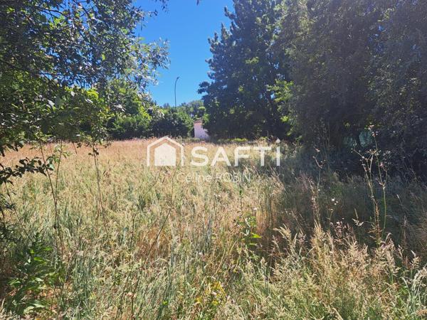 Terrain constructible