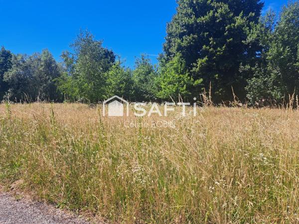 Terrain constructible