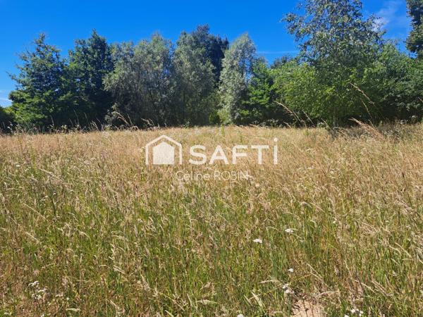 Terrain constructible