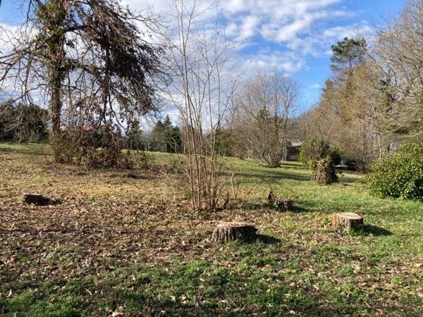 Terrain Château L'Evêque 1402 m2