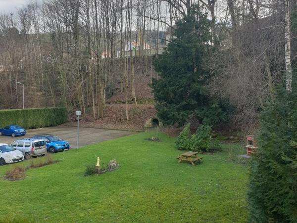 Location Appartement 4 pièces Sainte-Marie-aux-Mines (68160) - cv