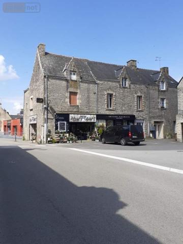 Immeuble à vendre à Allaire dans le Morbihan (56350), ref : 132c