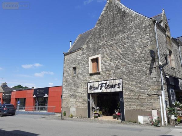 Immeuble à vendre à Allaire dans le Morbihan (56350), ref : 132c