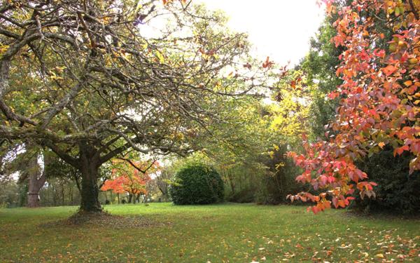 Maison à vendre    6 pièces •  Ternay