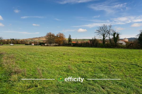 Terrain - 7520 m²