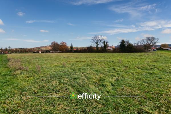 Terrain - 7520 m²