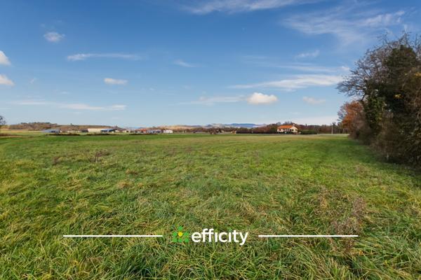 Terrain - 7520 m²