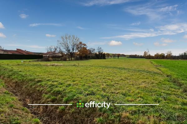 Terrain - 7520 m²