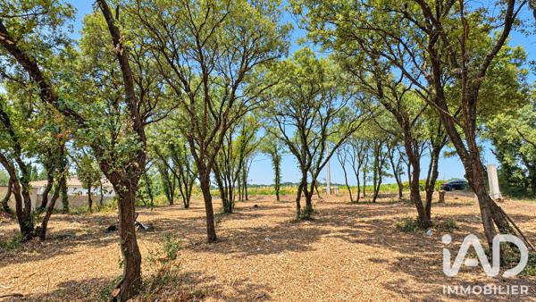 Terrain à vendre 820 m² Bédarrides
