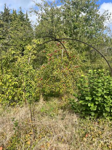 Terrain à bâtir à Gerbéviller