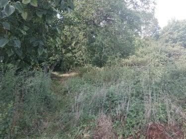 Terrain non constructible à vendre à Bar-sur-Seine dans l'Aube (10110), ref : 10063/1194