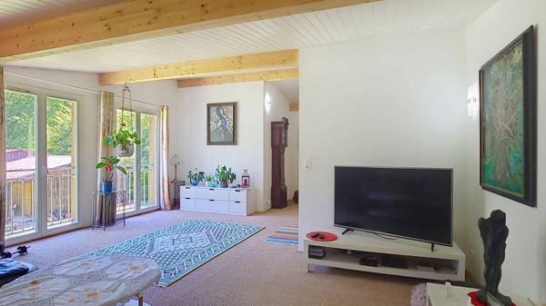 A vendre Chalet Bois 187m² avec dépendances, garages et studio de musique.