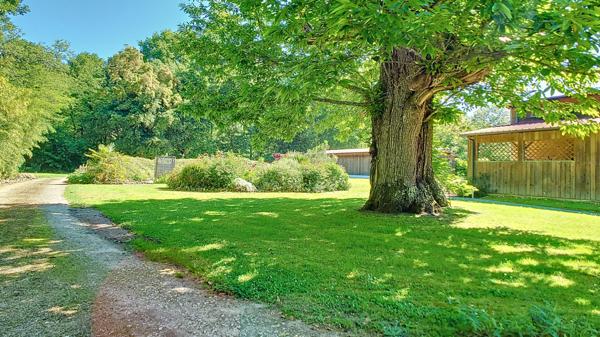 A vendre Chalet Bois 187m² avec dépendances, garages et studio de musique.