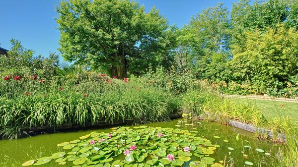 A vendre Chalet Bois 187m² avec dépendances, garages et studio de musique.