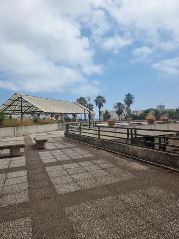 Bastia (20200) Local commercial rénové vue mer Bastia