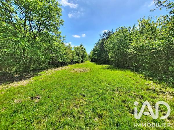 Maison (prestige) à vendre 16 pièces 365 m² Gien