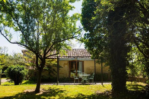 Vente Maison 20 pièces 557 m2 à Gaillac