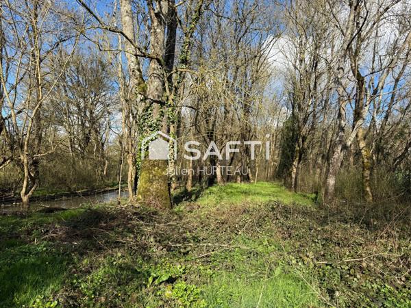 Profitez d'un beau terrain de loisir