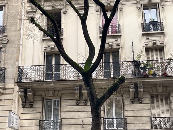 Appartement 3 pièces avec balcon...