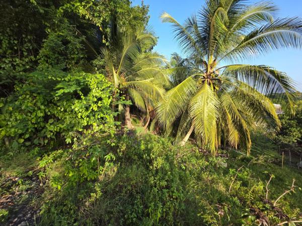 Terrain constructible