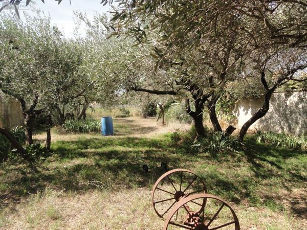 Maison individuelle à vendre à Saint-Gilles dans le Gard (30800), ref : 11411/424