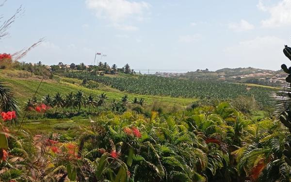 Maison à vendre    4 pièces • 95 m2 Le Vauclin