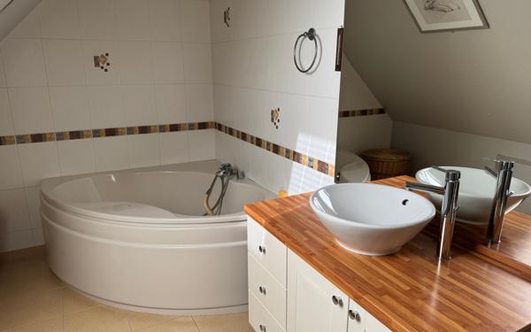 Maison à vendre    6 pièces • 250 m2 Ormes