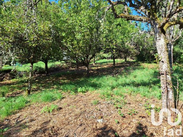 Terrain à vendre 1 164 m² Crandelles