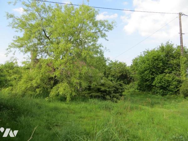EN EXCLUSIVITE, UNE MAISON EN PIERRE à NOUES DE SIENNE