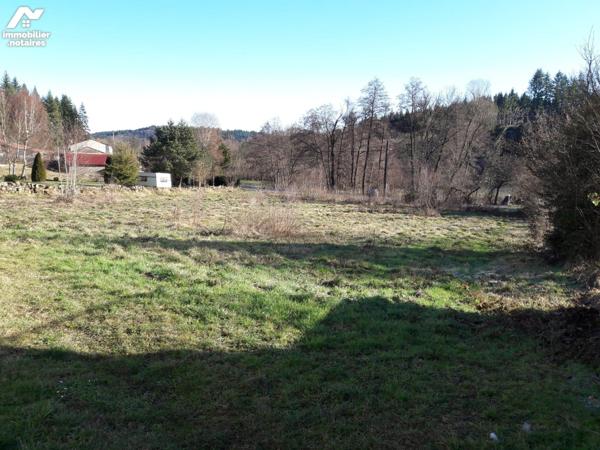 Terrain constructible.