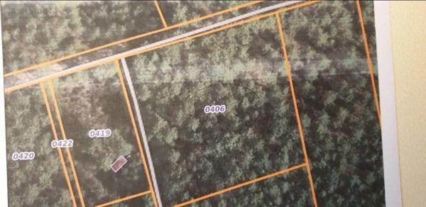 Achat - Terrain de loisirs, bois, étangs Brette-les-Pins 72250 3825 m 2