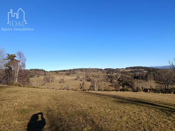 Vente Terrain 3689 m2 à Fau-de-Peyre