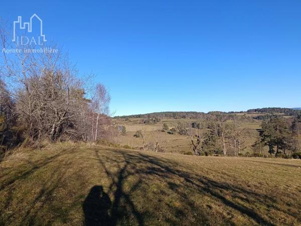 Vente Terrain 3689 m2 à Fau-de-Peyre