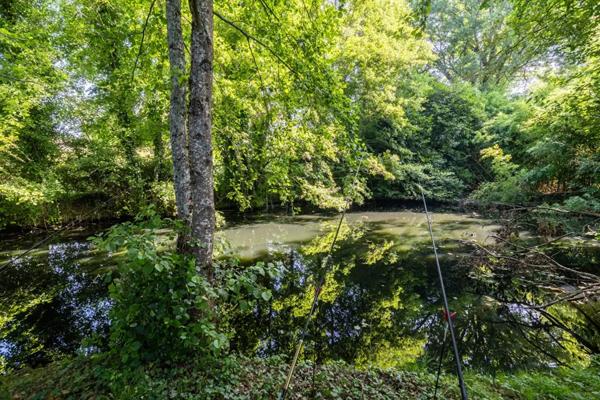 maison 7 pièces 264m² à vendre à Aire-sur-l'Adour